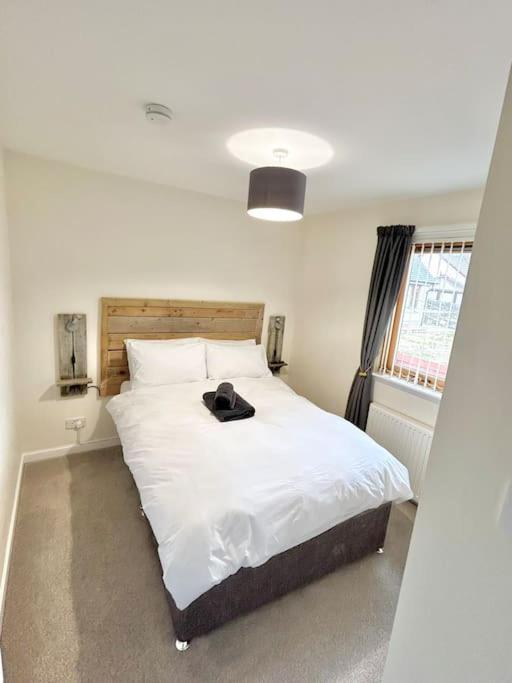 Cosy At Camden, Entire Bungalow Evanton Екстер'єр фото