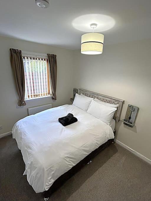 Cosy At Camden, Entire Bungalow Evanton Екстер'єр фото